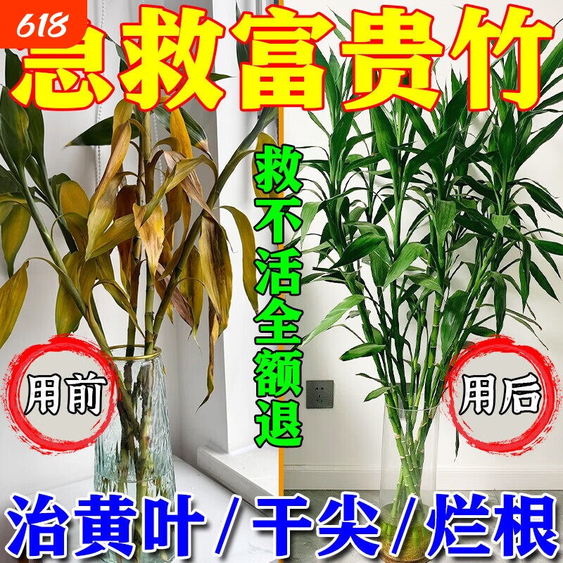 富贵竹营养液水培专用叶子发黄转运植物竹子防烂根黄叶肥料J均衡