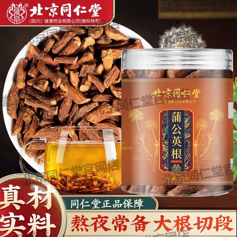 北京朕皇蒲公英根特级野生蒲公英根茶中材药泡水店官网