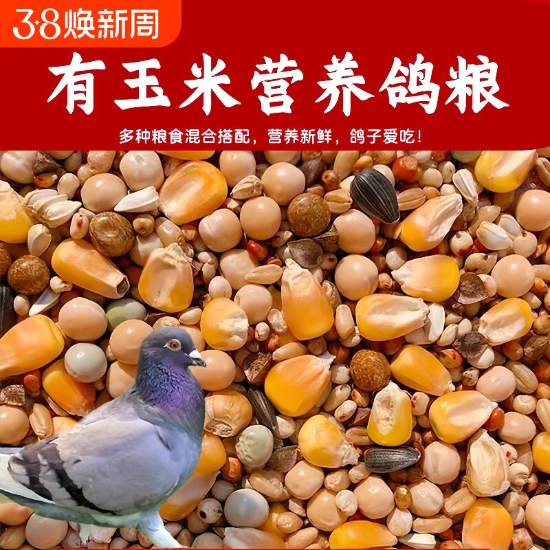 鸽子饲料粮食无玉米幼鸽粮信鸽元宝鸽鸟食赛鸽营养10斤包邮混合