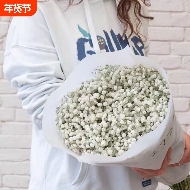 云南鲜花满天星超大束鲜切花包花束配花家庭水养办公室卧室插花,鲜花速递/花卉仿真/绿植园艺,花材,淘宝优惠券,粉丝福利购,淘宝优惠卷