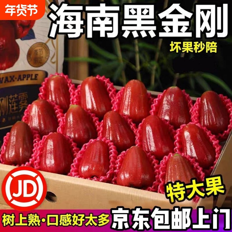 顺丰京东海南三亚黑金刚莲雾精品大果脆甜多汁新鲜包邮连雾礼盒装,水产肉类/新鲜蔬果/熟食,莲雾,淘宝优惠券,粉丝福利购,淘宝优惠卷