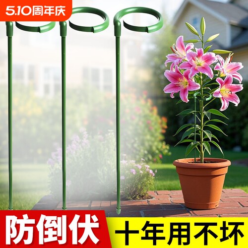 植物支撑杆龟背竹花卉支撑架
