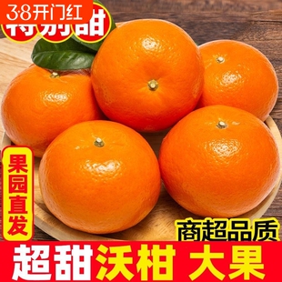 云南沃柑新鲜水果整箱大果桔子柑橘批发年货节生鲜采摘果子果园