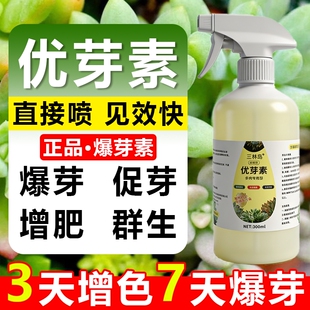 多肉优芽素增色生营养液长爆芽肥料专用分裂通用肥G植物花卉老桩