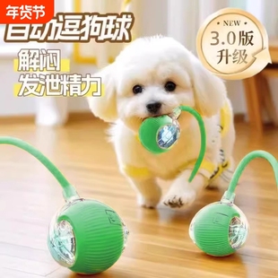 狗狗玩具自动遛狗球耐咬自嗨逗狗狗神器比熊小型犬宠物狗玩具球