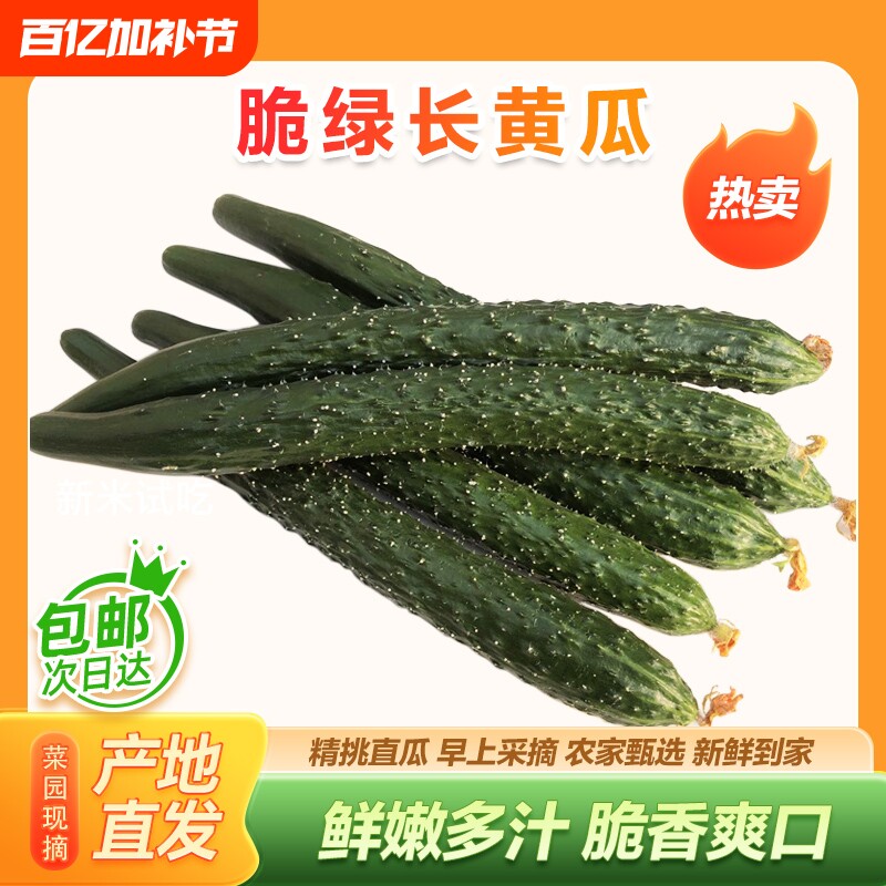 山东农家自种现摘现发精品长黄瓜应季新鲜蔬菜带刺生吃青瓜3斤5斤
