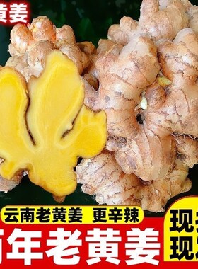 云南两年老姜新鲜现挖老姜小黄姜特级鲜姜批发小黄姜生姜新鲜老姜