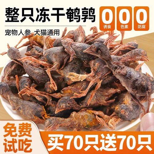 猫咪零食鹌鹑冻干狗零食猫咪宠物训练奖励柯基比熊磨牙棒营养美味