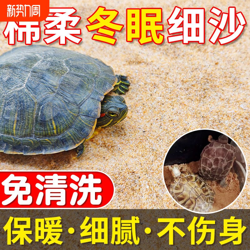 乌龟冬眠沙龟缸造景河沙养乌龟专用沙子龟沙巴西龟草龟过冬用品沙