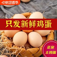皖南小镇可生食无菌蛋农家初生蛋柴鸡蛋30枚1200g江浙沪皖次日达