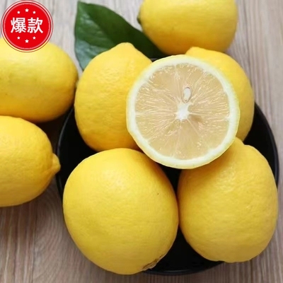 正宗四川新鲜安岳黄柠檬薄皮安岳水果鲜果专用正宗多汁水果饮品