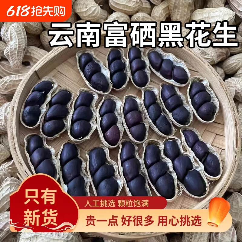 云南黑花生富硒普洱2025新货晒干种带壳黑皮花生米原味散装好吃