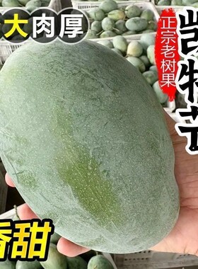 【果园直发】正宗四川攀枝花凯特芒当季新鲜超甜大青芒果整箱批发