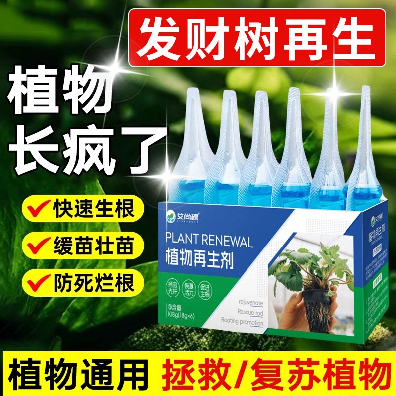 发财树专用肥营养液植物再生剂通用型绿植物家室内盆栽水培黄枯叶