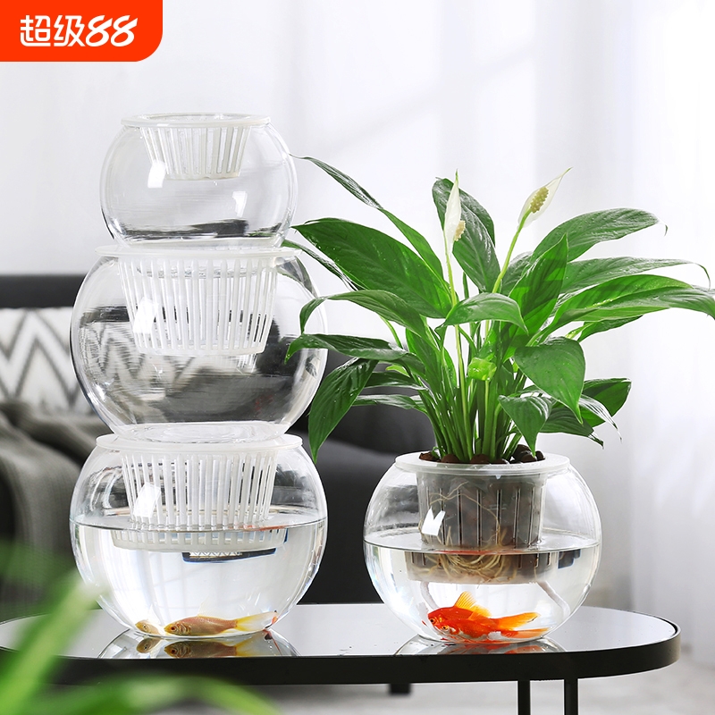 水培植物玻璃花瓶水养绿萝绿植插花器皿客厅桌面装饰摆件特大号