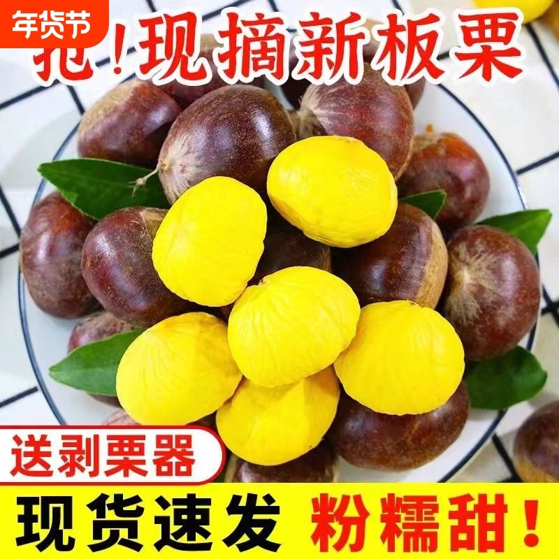 【香甜】2025新鲜丹东生板栗当季板栗生栗子新下树油野栗大板栗仁