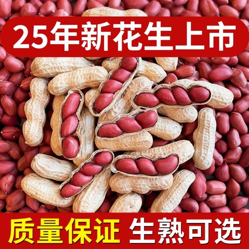 红皮花生25年农家新鲜带壳生熟四粒红花生米自种晒干炒货原味北东