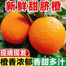 正宗脐橙新鲜水果橙子非赣州脐橙赣南当季 大果批发现摘现发整箱