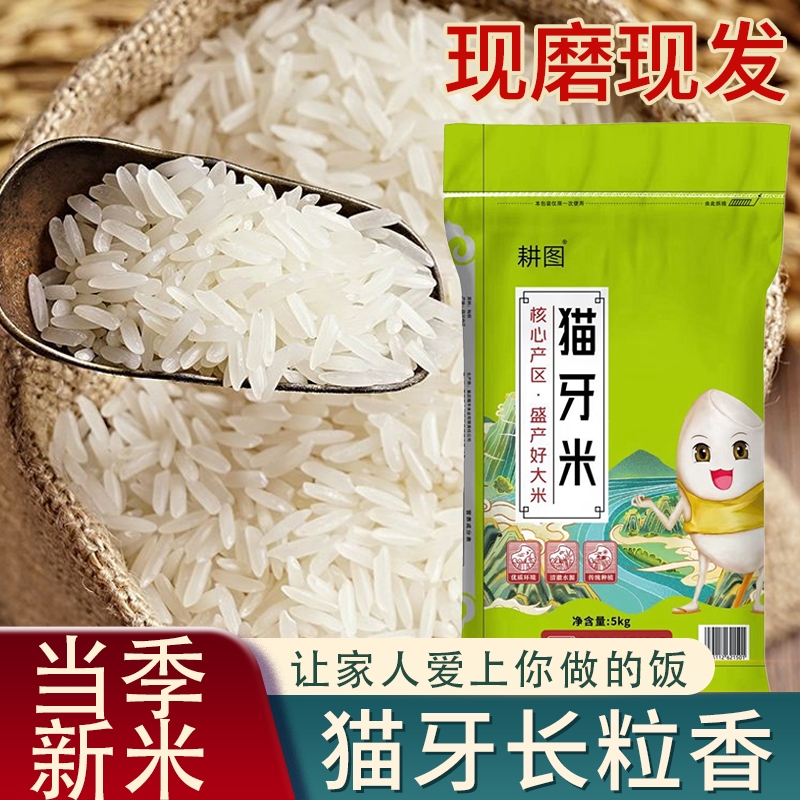 南方大米10斤猫牙香米5KG装现磨