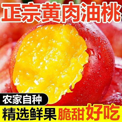 正宗黄心油桃新鲜水果黄肉黄金桃子现摘当季水果黄油桃水蜜桃脆甜