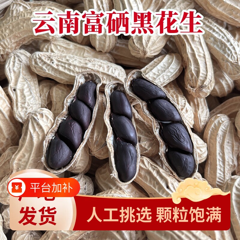 云南特产老品种黑花生带壳富硒黑皮花生新货散装