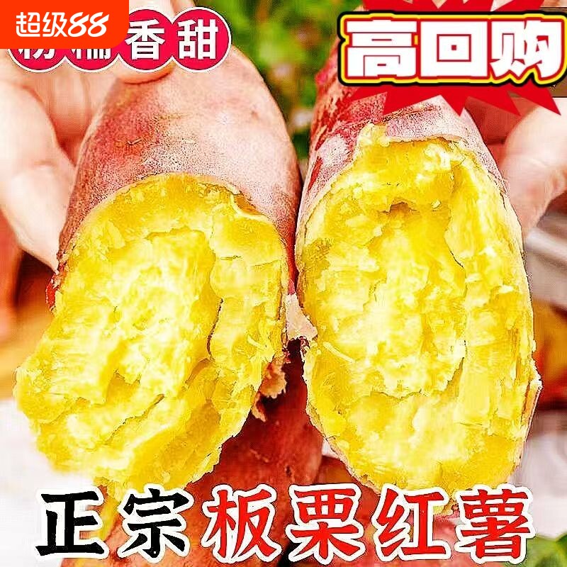 红薯新鲜沙地蜜薯板栗红薯糖心地瓜香薯山芋农家自种现挖红皮黄心图片