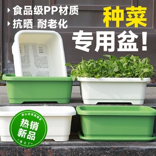 种菜专用箱种菜盆花盆阳台长方形塑料塑料家庭蔬菜种植盆种菜神器