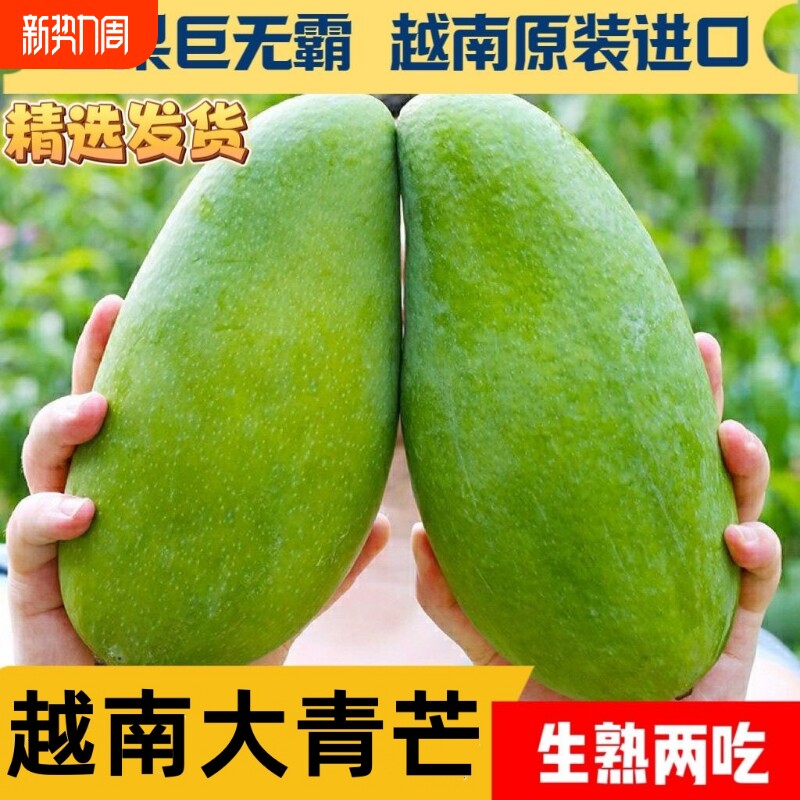 越南进口大青芒果整箱9斤包邮新鲜现摘当季水果肉小甜蜜多汁5精选