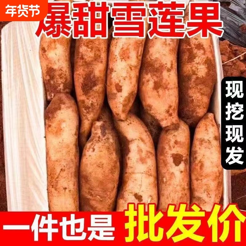 云南天山雪莲果红心新鲜黄雪连特级一级水果当季新鲜,水产肉类/新鲜蔬果/熟食,雪莲果,淘宝优惠券,粉丝福利购,淘宝优惠卷