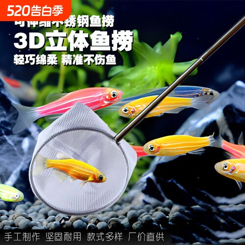 捞鱼网小型D不锈钢伸缩手兜渔捞