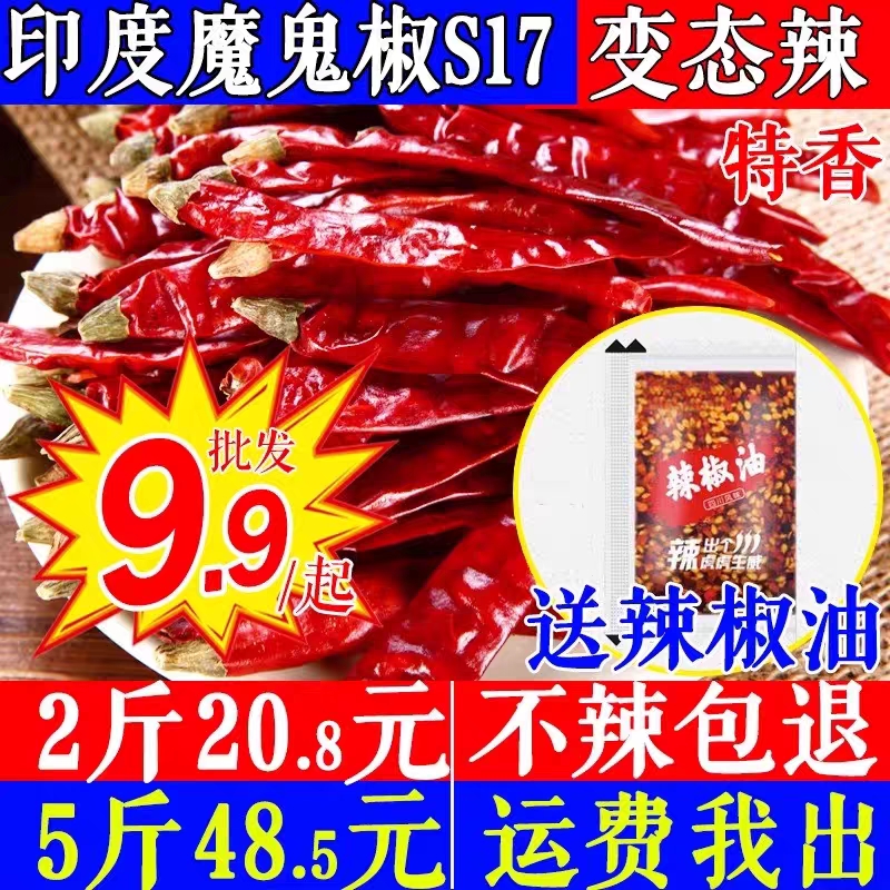 超辣辣椒印度魔鬼辣椒500克香辣特辣干辣椒可磨辣椒粉面切辣椒段