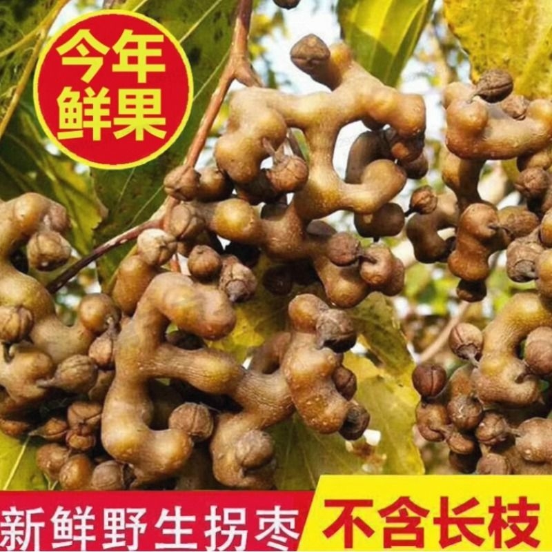 现摘新鲜野生拐枣万寿果金钩子鸡爪梨生吃泡酒干果5斤包邮