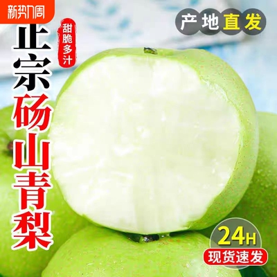 安徽砀山梨青梨酥梨子水果新鲜应当季整箱包邮正宗皇雪翠冠梨