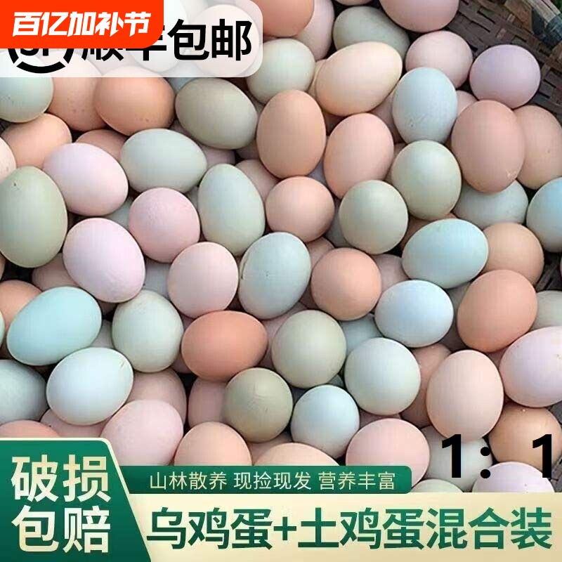 顺丰包邮正宗农家散养土鸡蛋绿壳乌鸡蛋混合装笨鸡蛋柴鸡蛋50枚