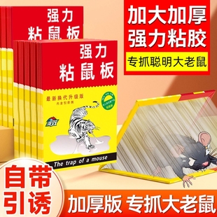 粘鼠板强力胶抓粘大老鼠贴药灭抓鼠神器克星家用一窝端捕鼠厨房