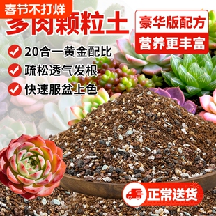 多肉专用颗粒土多肉土营养土壤种植土思威博花土盆栽纯颗粒铺面石