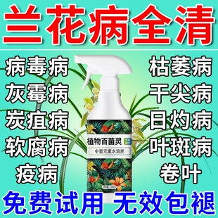 兰花专用杀菌药肥料黄叶焦尖黑斑病专用药营养液多箭素养花腐病J