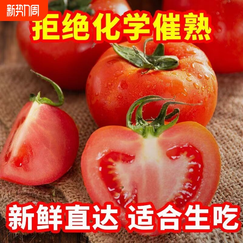 云南露天沙瓤西红柿现摘可生吃老品种番茄无催熟儿童老人应季蔬菜