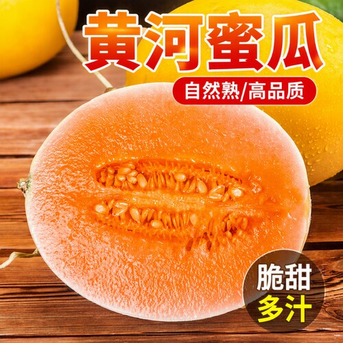 脆甜黄河蜜瓜9斤箱|102人收藏
