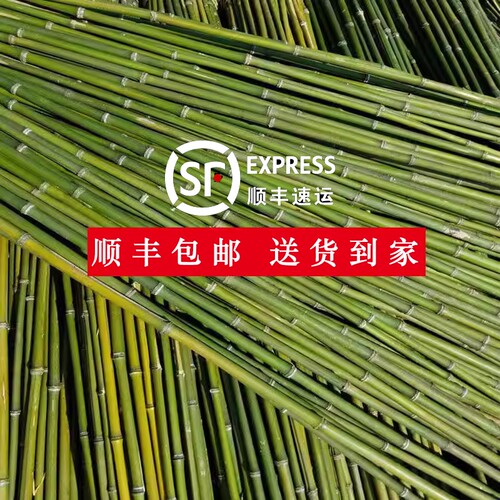 竹竿小竹杆菜园搭架子篱笆栅栏菜旗杆阳台植物豆角黄瓜爬藤花架