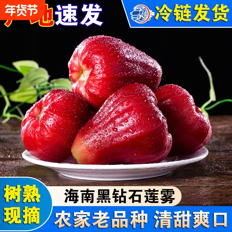 整果新鲜莲雾果,水产肉类/新鲜蔬果/熟食,莲雾,淘宝优惠券,粉丝福利购,淘宝优惠卷