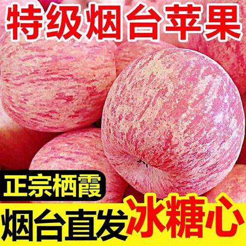 山东烟台红富士苹果栖霞红富士应季孕妇水果新鲜冰糖心苹果脆甜