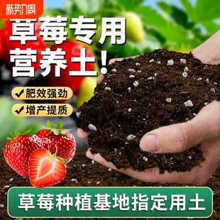 草莓专用营养土盆栽种植土泥土蔬菜种菜育苗土壤阳台肥料批发通用