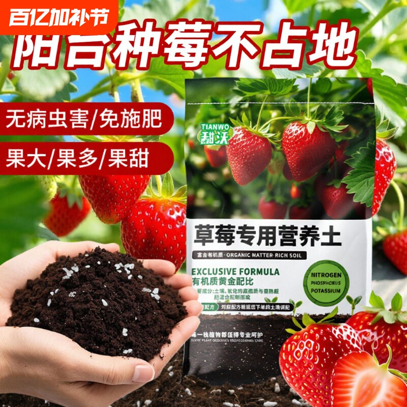 种草莓专用土营养土阳台草莓肥料专用肥盆栽草莓苗土壤泥土种植土
