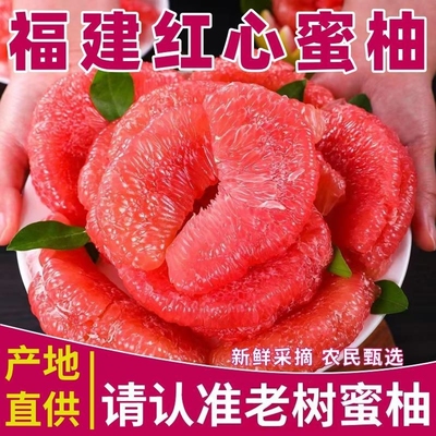 精选福建红心蜜柚高档红心柚新鲜红肉柚子水果礼柚子蜜柚当季水果