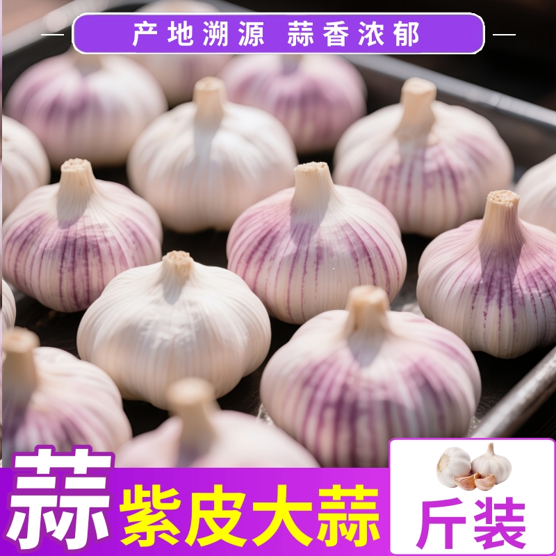 【刚刚降价】大蒜头批发干蒜紫皮大蒜特大新鲜红皮蒜正宗火锅酱料