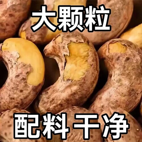 越南紫皮腰果烘烤|千人回购