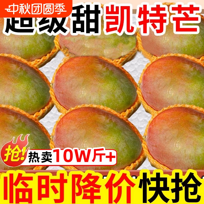 四川攀枝花凯特芒果5-9斤
