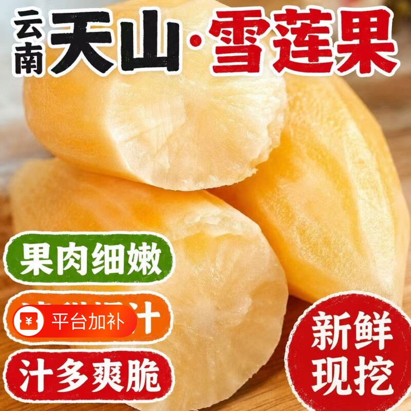 天山雪莲果新鲜水果大果云南应当季黄心雪连果高山特整箱低糖正宗