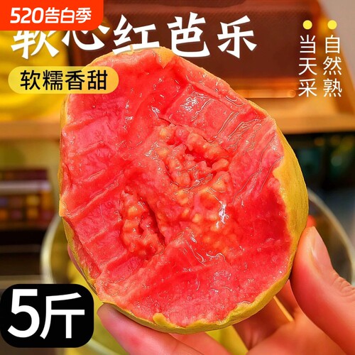 广东软糯红心芭乐当季新鲜